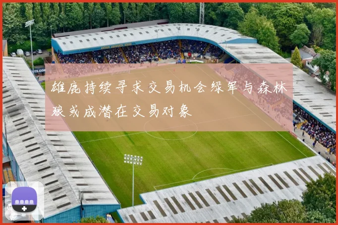 雄鹿持续寻求交易机会绿军与森林狼或成潜在交易对象