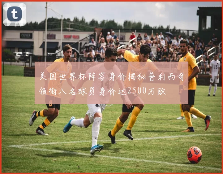美国世界杯阵容身价揭秘普利西奇领衔八名球员身价达2500万欧